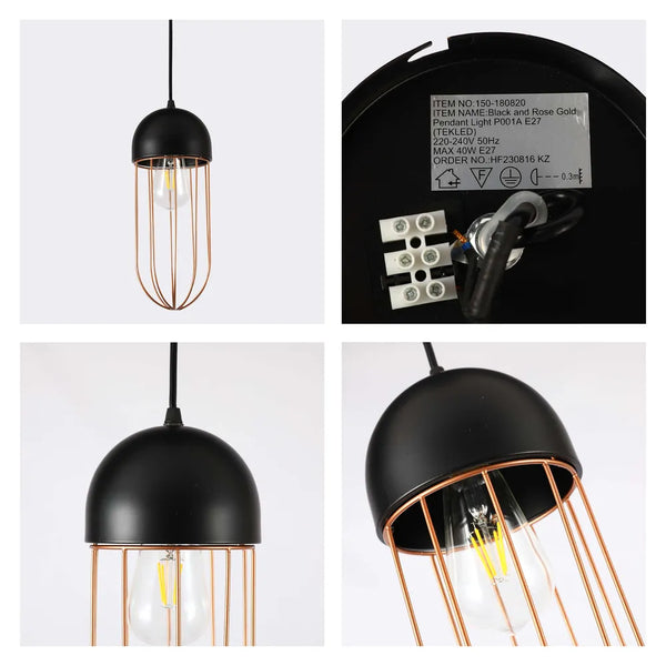 Details of the Aurelia Black & Gold Cage Pendant Light-150-180820