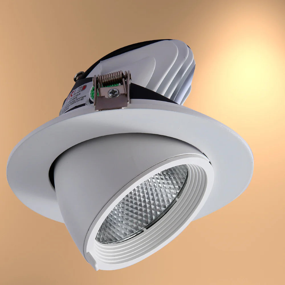 LED Accent Performance Swivel and Scoop Tilt Recessed Downlight CRI90 White 8
